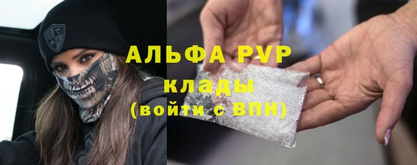 прущие грибы Артём