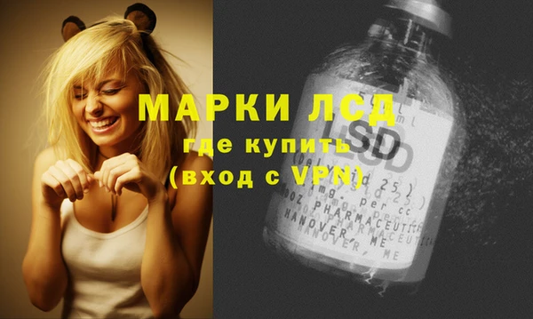 spice Магас