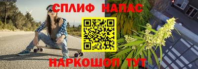 ешки Абакан