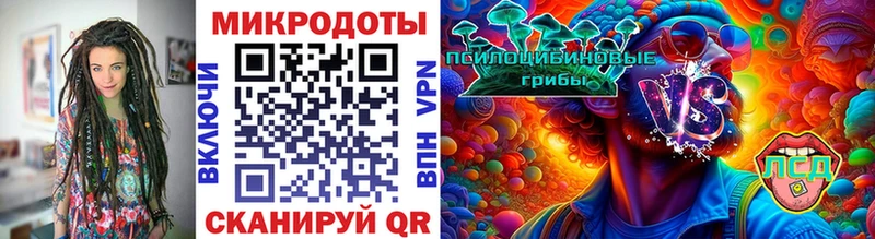 Галлюциногенные грибы GOLDEN TEACHER  ссылка на мегу ТОР  Черногорск 