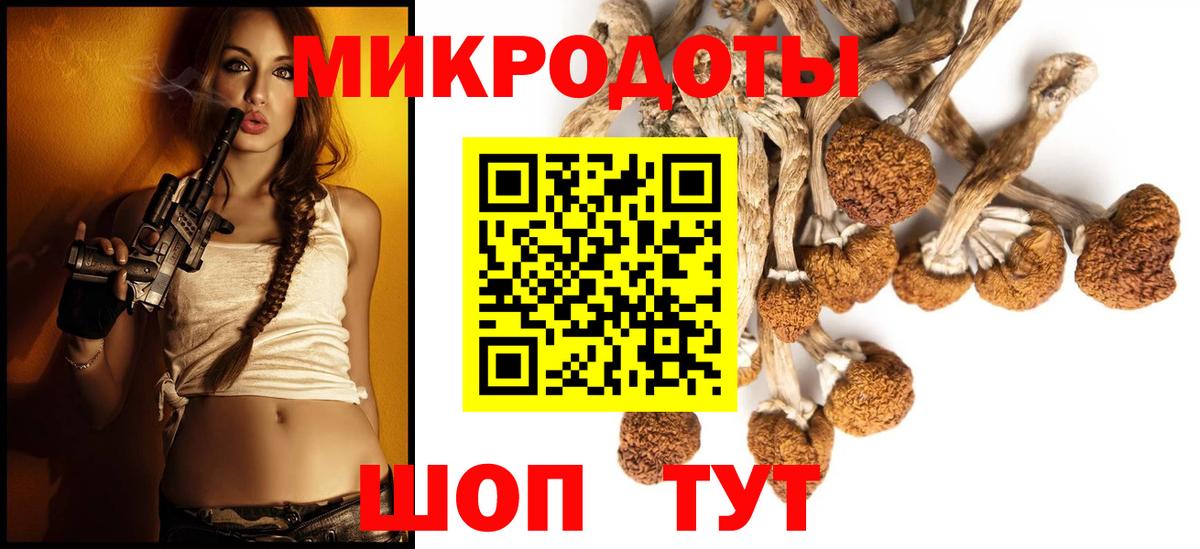 Черногорск  Галлюциногенные грибы Cubensis  Вход с VPN  Галлюциногенные грибы мицелий 