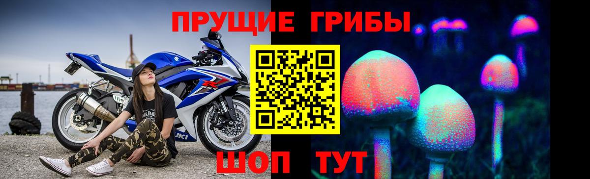 Псилоцибиновые грибы мицелий  Черногорск 