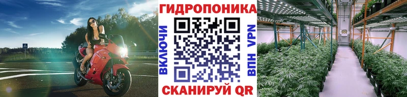 Бошки Шишки VHQ Черногорск