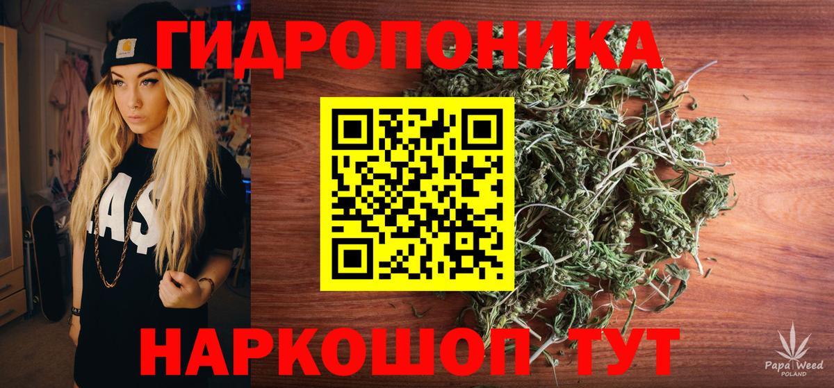 Конопля марихуана  Шишки марихуана VHQ  Черногорск 